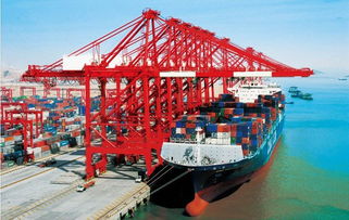 内贸海运物流中心 提升国内货物运输代理效率的核心枢纽