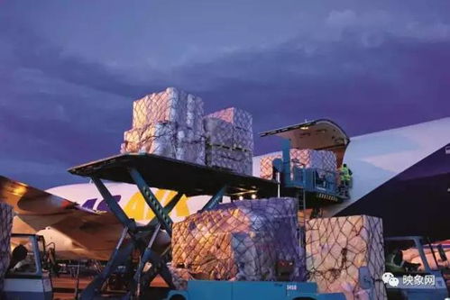 河南普通货运五年发展纪实 构建高效物流体系，助力区域经济腾飞